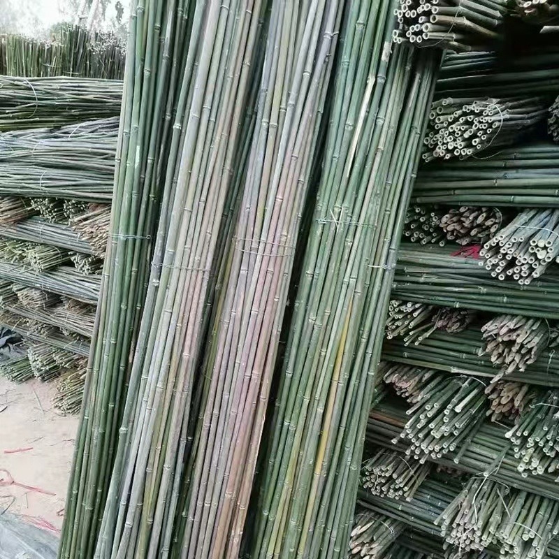 3米竹竿西红柿架杆 黄瓜 西葫芦爬藤用竹子图片