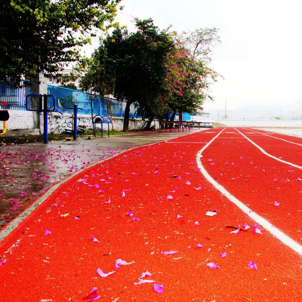 优冠 运动专用 硅pu塑胶跑道 预制型塑胶跑道 健身运动步道
