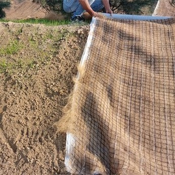 边坡雨水冲刷治理抗冲生物毯 加筋防冲毯 植草毯 岩石边坡绿化环保草毯