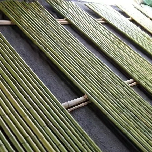 早园竹 青竹1.5米 1.3米长的竹竿大小头差不多大
