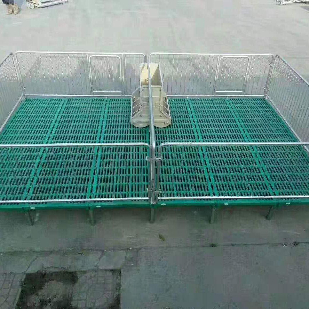 星恒机械小猪保育床仔猪用复合板保育栏可加配电热板保育床母猪产床定位栏定做