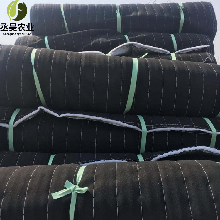 丞昊农业供应 防寒棉被 温室工程 质量保证 西藏