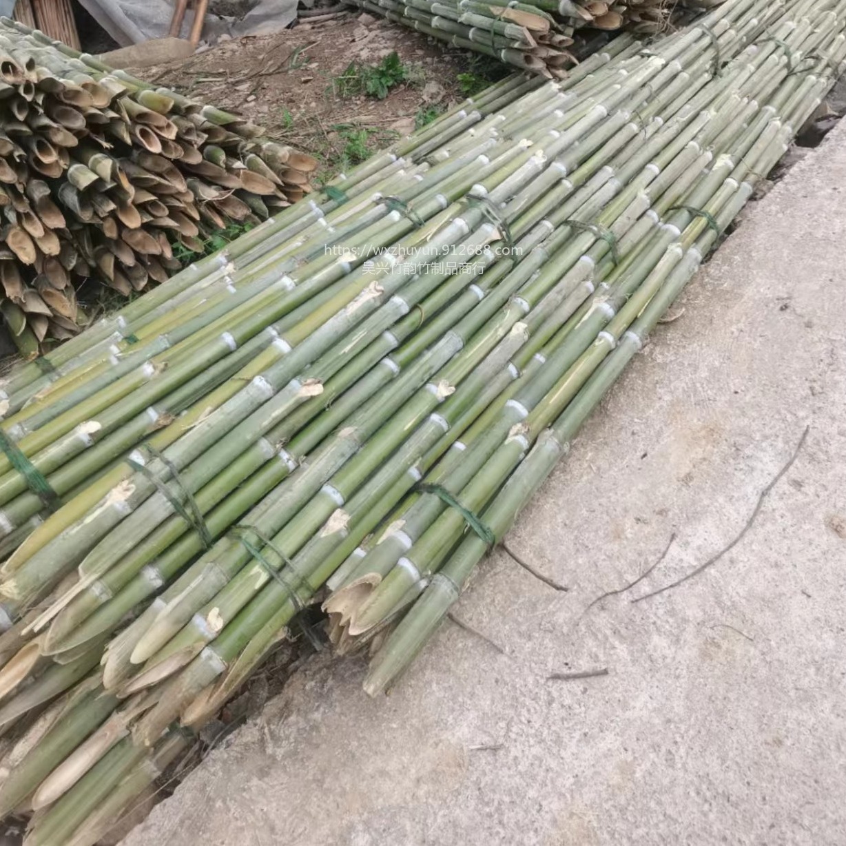 工程绿化撑树用的竹尖 根部可带斜口也可平口均可定制