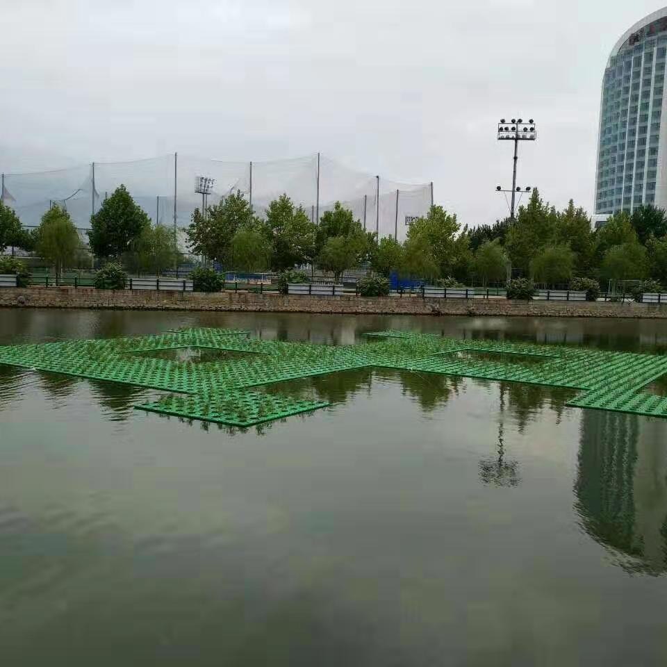 人工浮床图片 水面绿化、人工浮岛 承接水生植物浮床种植工程