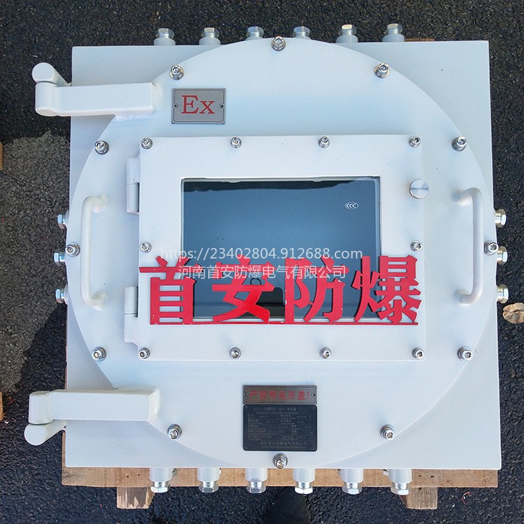 IIC环境防爆配电箱控制箱 生产厂家支持定制