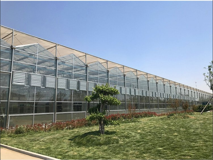 建源温室工程单栋玻璃温室蔬菜大棚厂家光照均匀透光性好