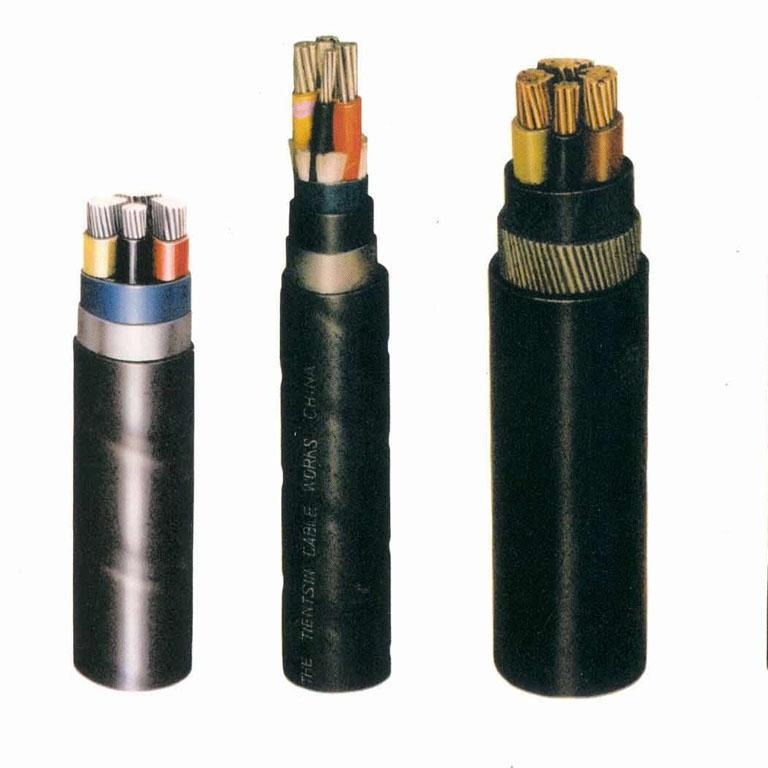 电力电缆 低压铜芯耐用双芯接地线电力电缆 YJV 4x2401x120  0.6/1KV 现货型号齐全 源头厂家