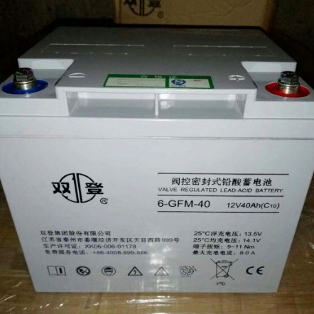 双登6-GFM-40/12V/40AH铅酸免维护蓄电池UPS后备续航不断电通用