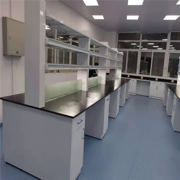 禄米  实验室家具  全钢实验台生产 实验室边台生产LUMI7544