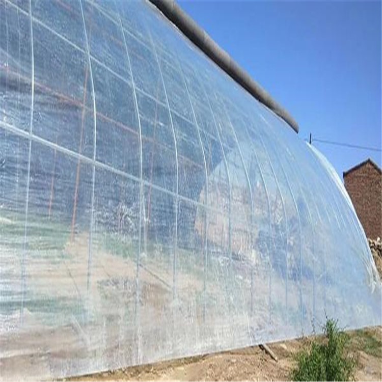 荷兰绣球花温室大棚 日光温室公司 旭航温室大棚建设图片