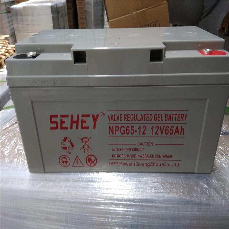 广州西力蓄电池NPG100-12 12v100ah阀控式密封铅酸电池原装正品