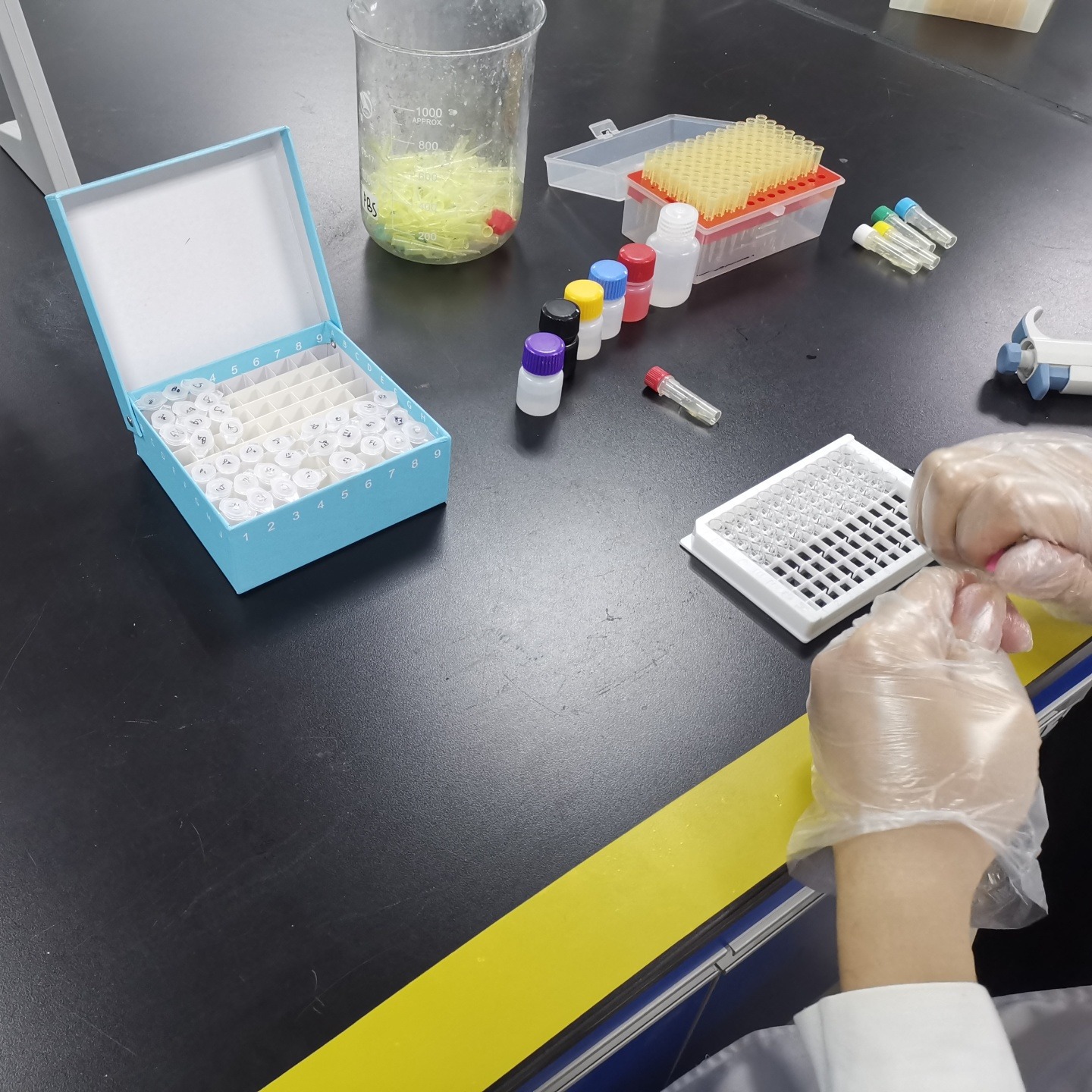 ELISA试剂盒 单 抗体 胰岛素测定 检测试剂盒 睿信生物