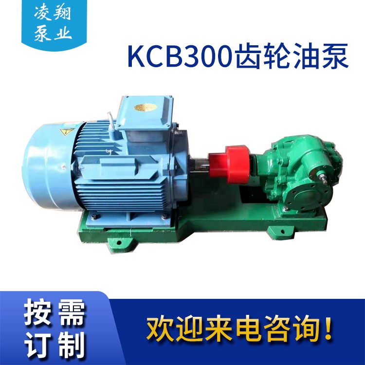 kcb300齿油泵 齿轮油泵 输送橄榄油 还可输送多种食用油 凌翔泵业