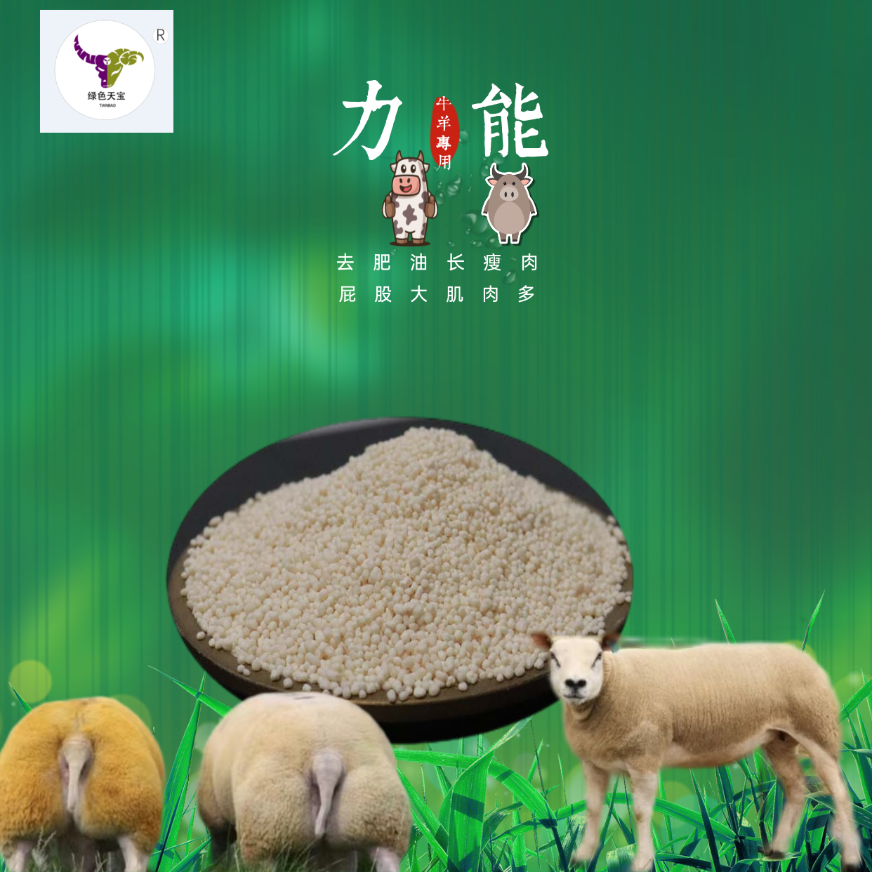 羊羊催肥剂  包膜胍基乙酸增重小料改善体型提高消化吸收 加快育肥