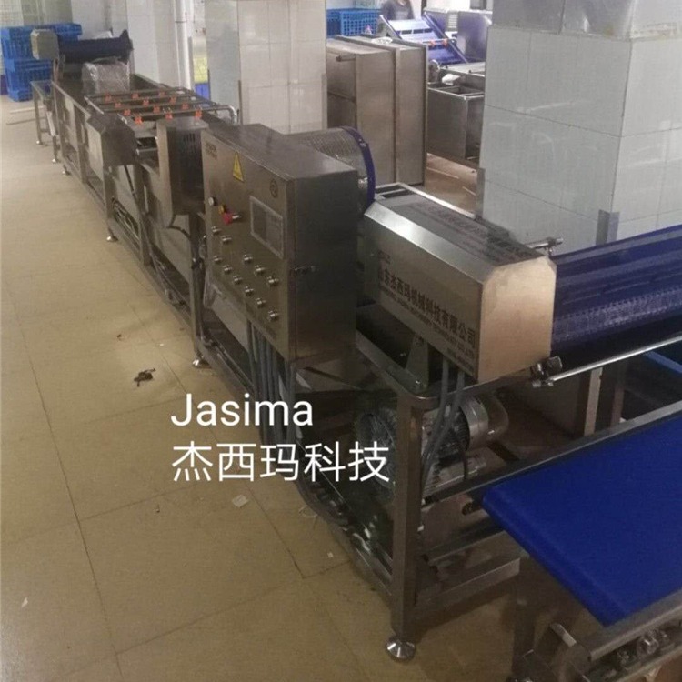 JXM-多功能洗菜机   全自动气泡清洗机   土豆毛辊清洗机