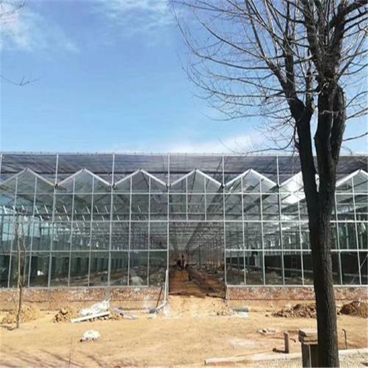 玻璃pc板温室建设 莆田蔬菜大棚生产厂家 旭航
