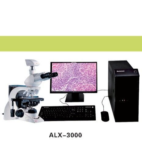 湖北安立信 病理图文报告系统 ALX-3000 网络版