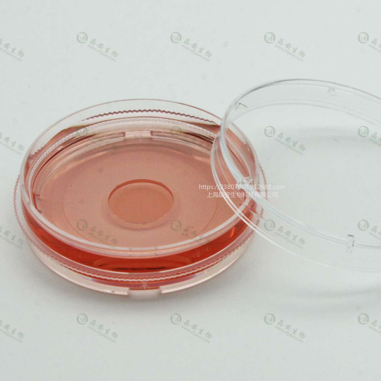 上海晶安35mm玻底皿/激光共聚焦显微镜实验用玻璃底细胞培养小皿/荧光玻底微孔皿