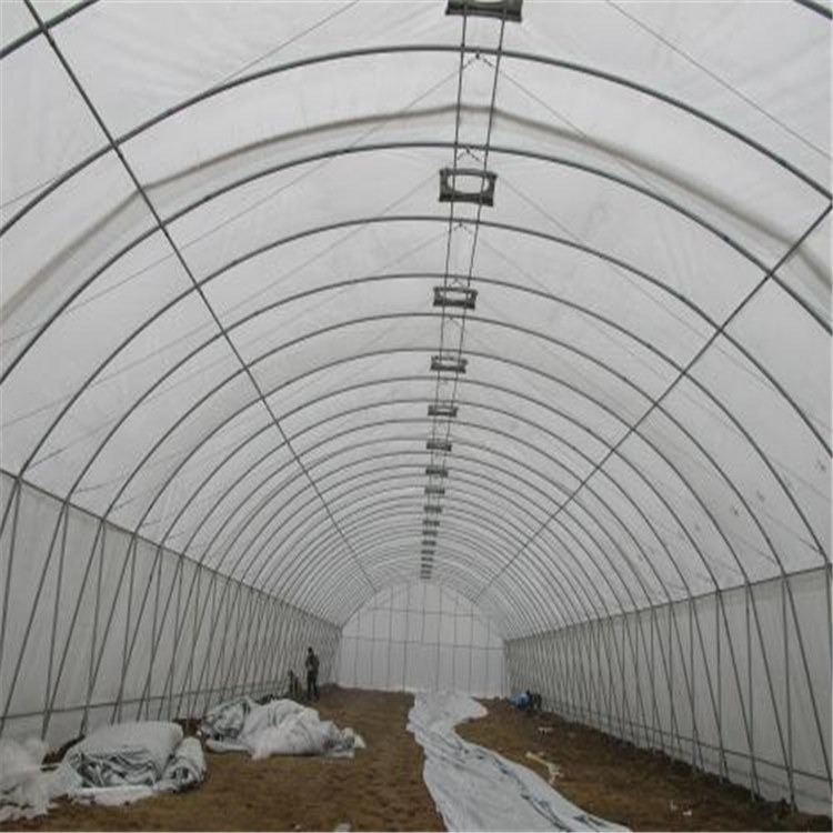 自动种植大棚 东北冬季温室大棚工程 旭航温室