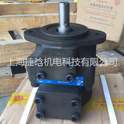 上海榆次液压泵 PFE-51129-1DT 系列柱销式叶片泵 榆次液压油泵 高压低噪音叶片泵图片