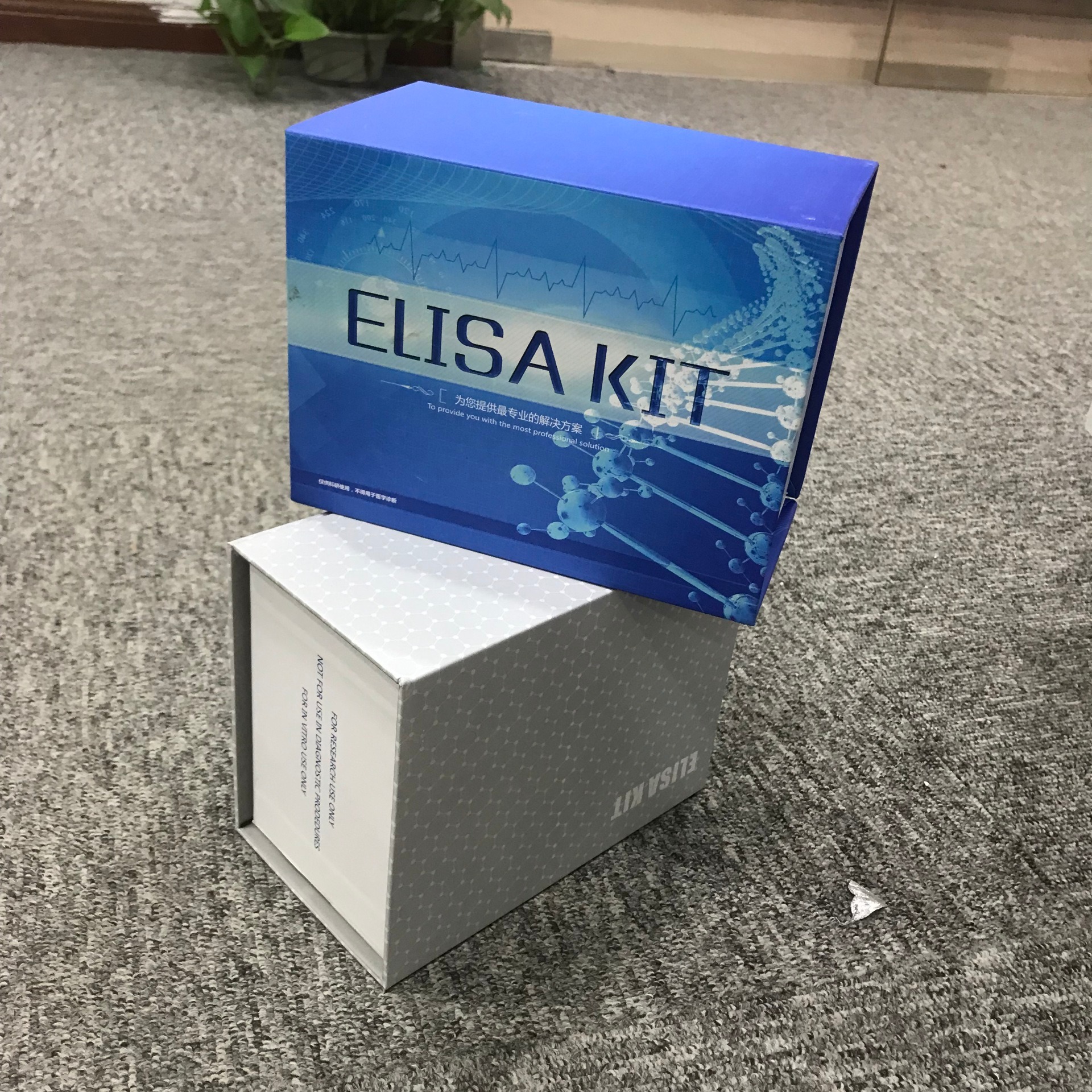 elisa试剂盒原理 雌二醇检查 白介素ELISA试剂盒 睿信生物
