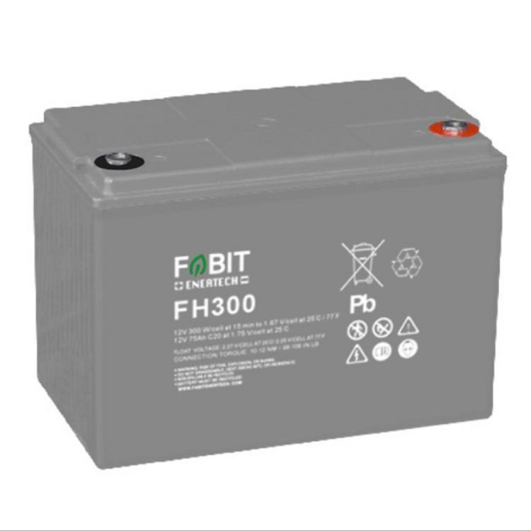 菲意特蓄电池FH300 12V75AH参数型号报价