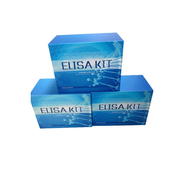 人ELISA试剂盒 胰岛素ELISA试剂盒 一步法 睿信生物