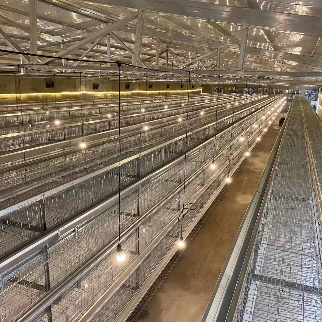 信必达 养鸡场阶梯式蛋鸡笼 三层大层叠养鸡用笼子 自动化养鸡设备