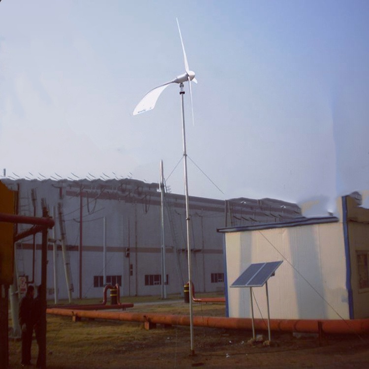 蓝润风力发电机养殖场用小型风力发电机带杂草机图片