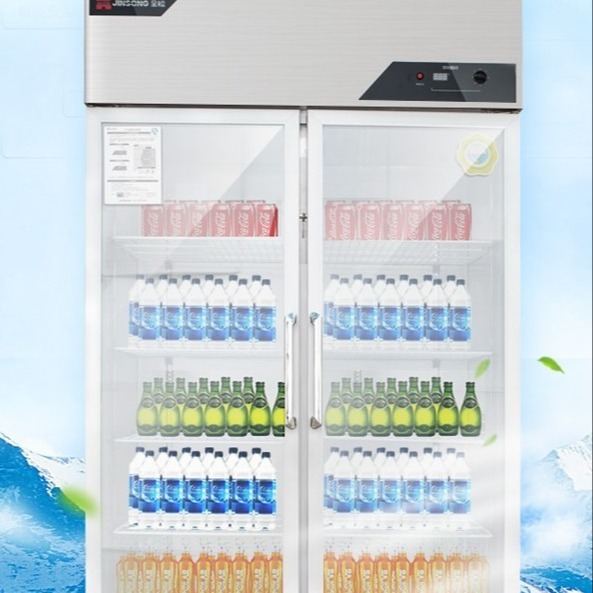 金松商用冰箱 GB1.0L2D大二门冷藏展示柜 双门保鲜陈列柜