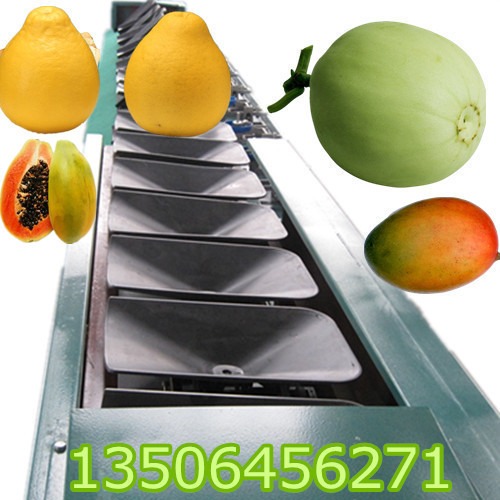 柚子选果分级机械  柚子分选机   柚子选果机图片