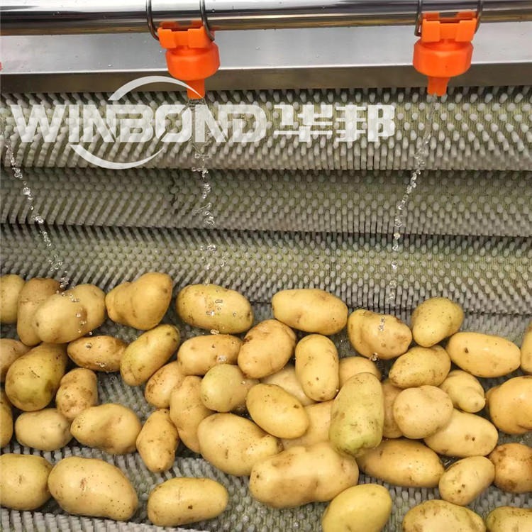 全自动红薯清洗机，红薯清洗生产流水线，土豆清洗机，土豆清洗机厂家，厂家直销质量保证