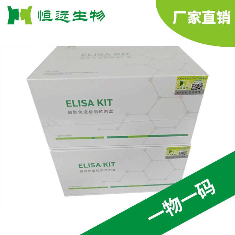 恒远生物大鼠神经营养因子3(NT-3)ELISA试剂盒定量高灵敏
