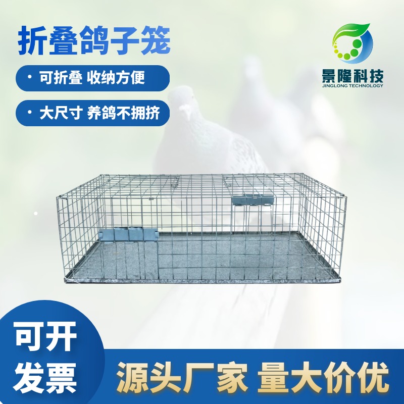 内蒙古鸽子笼厂家 景隆JL-2020大型鸽子养殖可折叠笼具