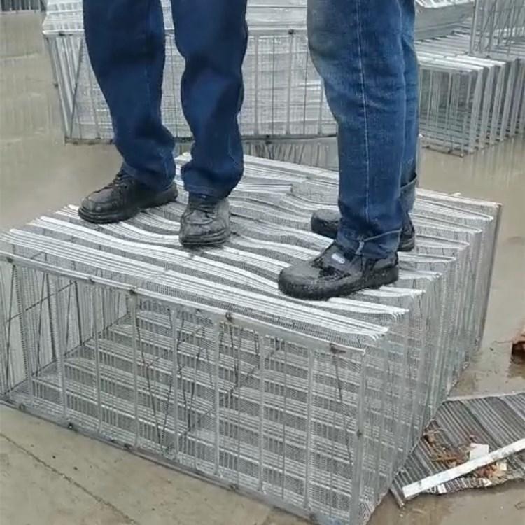 钢网箱-钢网箱空心楼盖-建筑膜壳-扩张网箱厂家供应