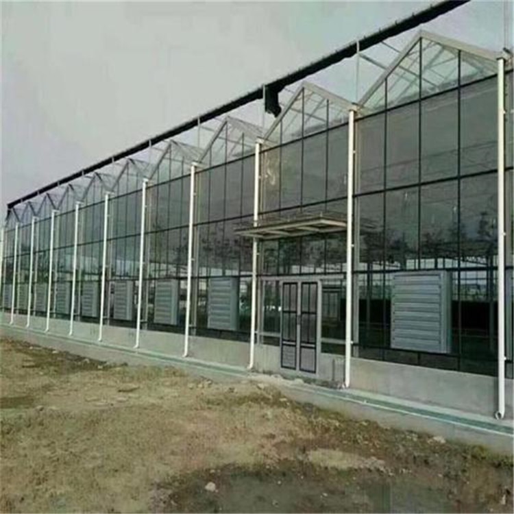 恒温养殖大棚 透明玻璃钢瓦大棚旭航温室工程建设厂家图片