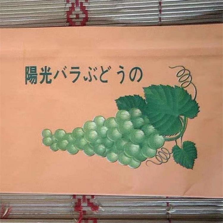 宇昇供应葡萄纸托袋  葡萄水果套袋    水果纸袋 葡萄基地专用包装袋批发  欢迎订购
