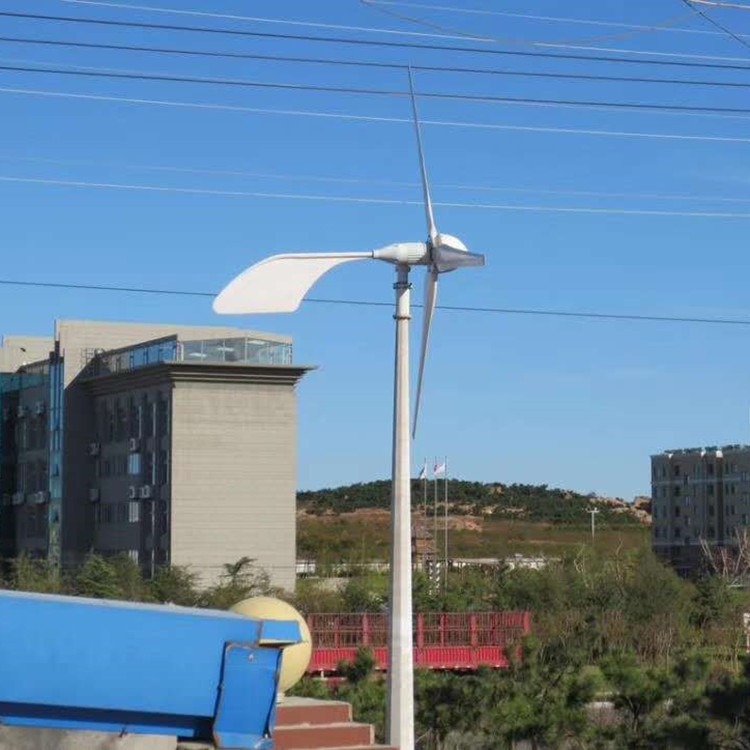 蓝润厂家供应5千瓦风力发电机组 蓝润5千瓦风机 永磁发电机 强风自动保护