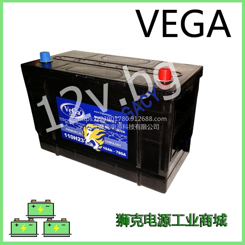 韩国VEGA蓄电池电池 VeGa 225L柴油发电机12V225AH应急启动电瓶售前售后服务商