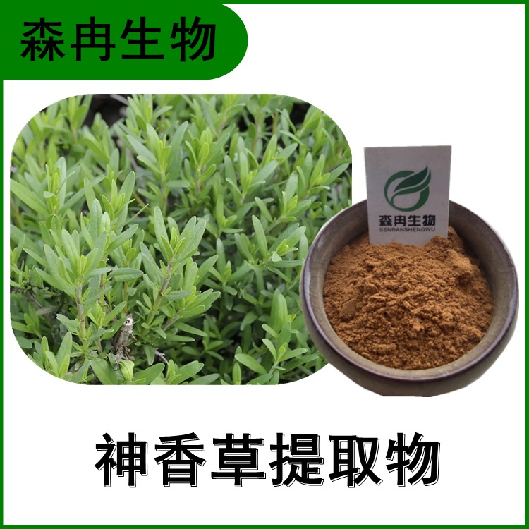 神香草提取物 神香菊浓缩粉 比例提取 多种规格 植物提取原料粉