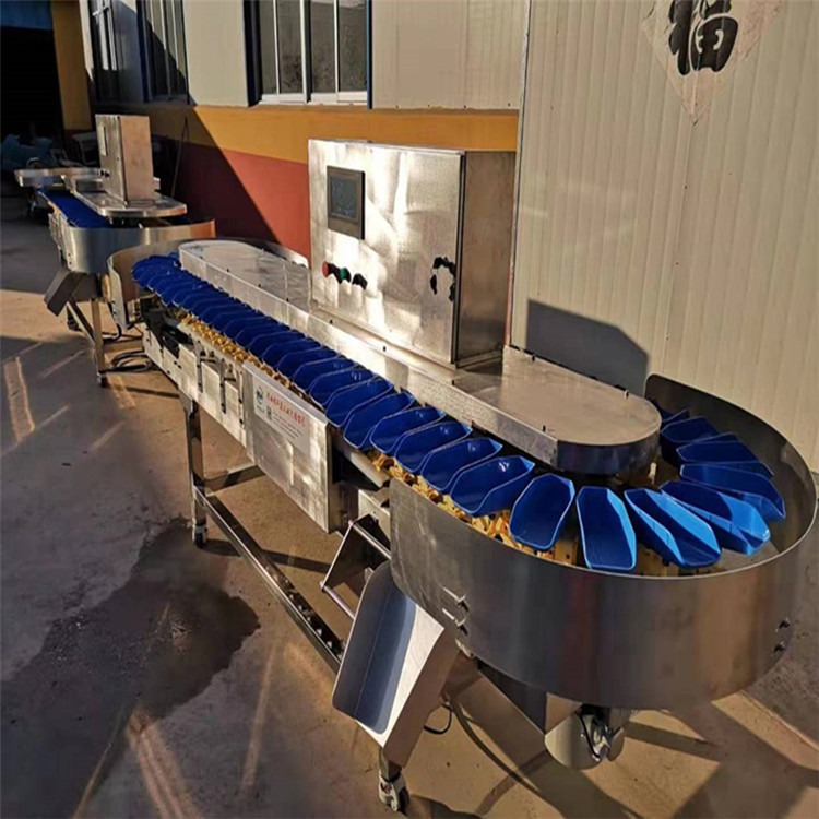 红薯重量分选机 转盘式自动重量分选机价格 小龙虾多级重量分选机厂家 康泽机械SZ6型图片
