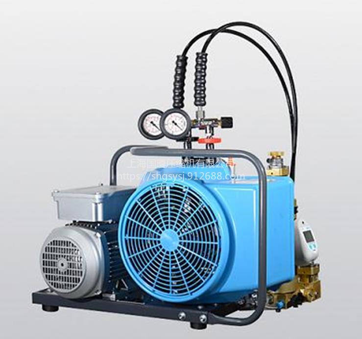 10Mpa压缩空气填充泵批发零售