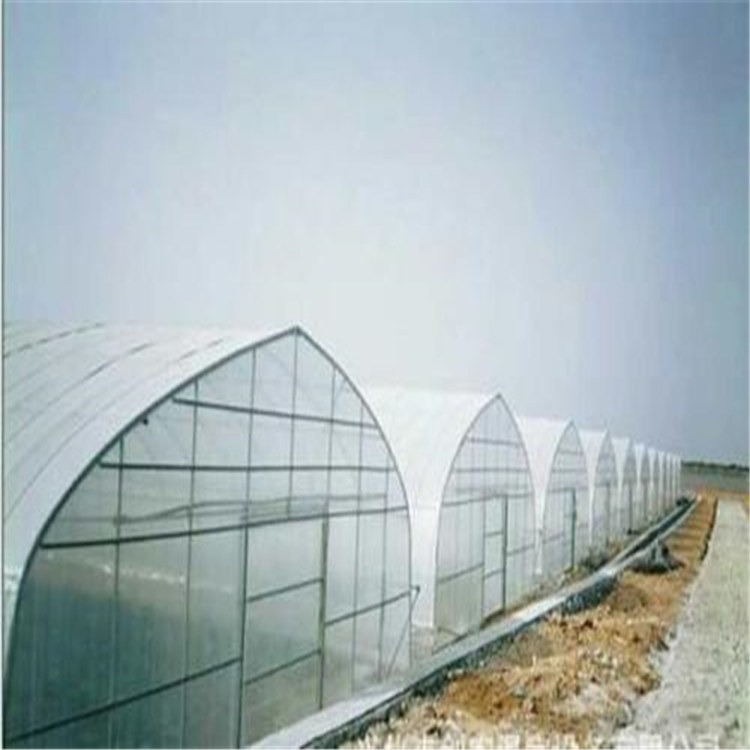 钢筋桁架大棚 西藏蔬菜温室大棚 旭航温室大棚建设