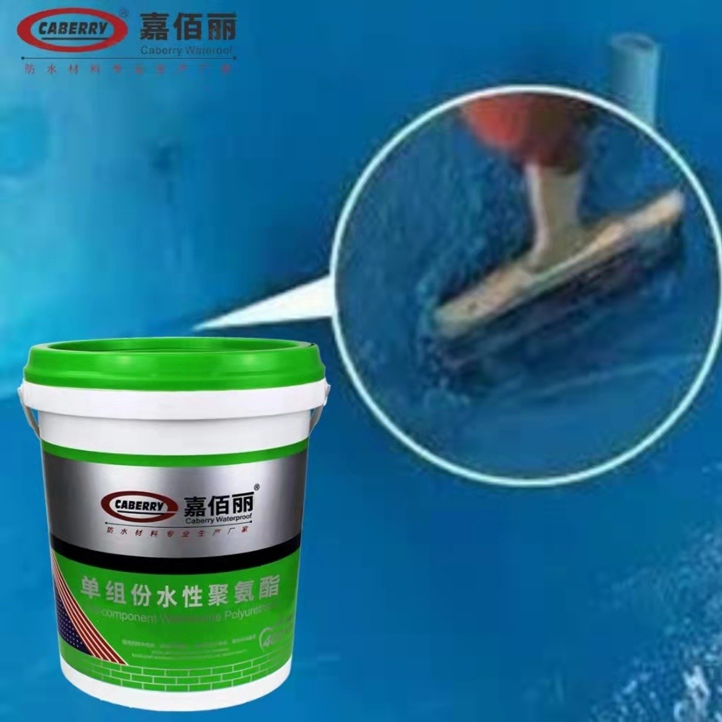 嘉佰丽 改性硅氧烷高性能防腐防水涂料 家装通用防水 多色可调