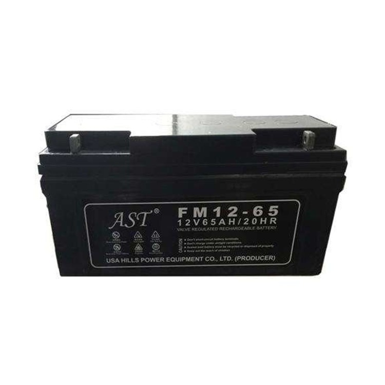 AST蓄电池FM12-65 12V65AH安防监控 UPS 直流屏配套使用