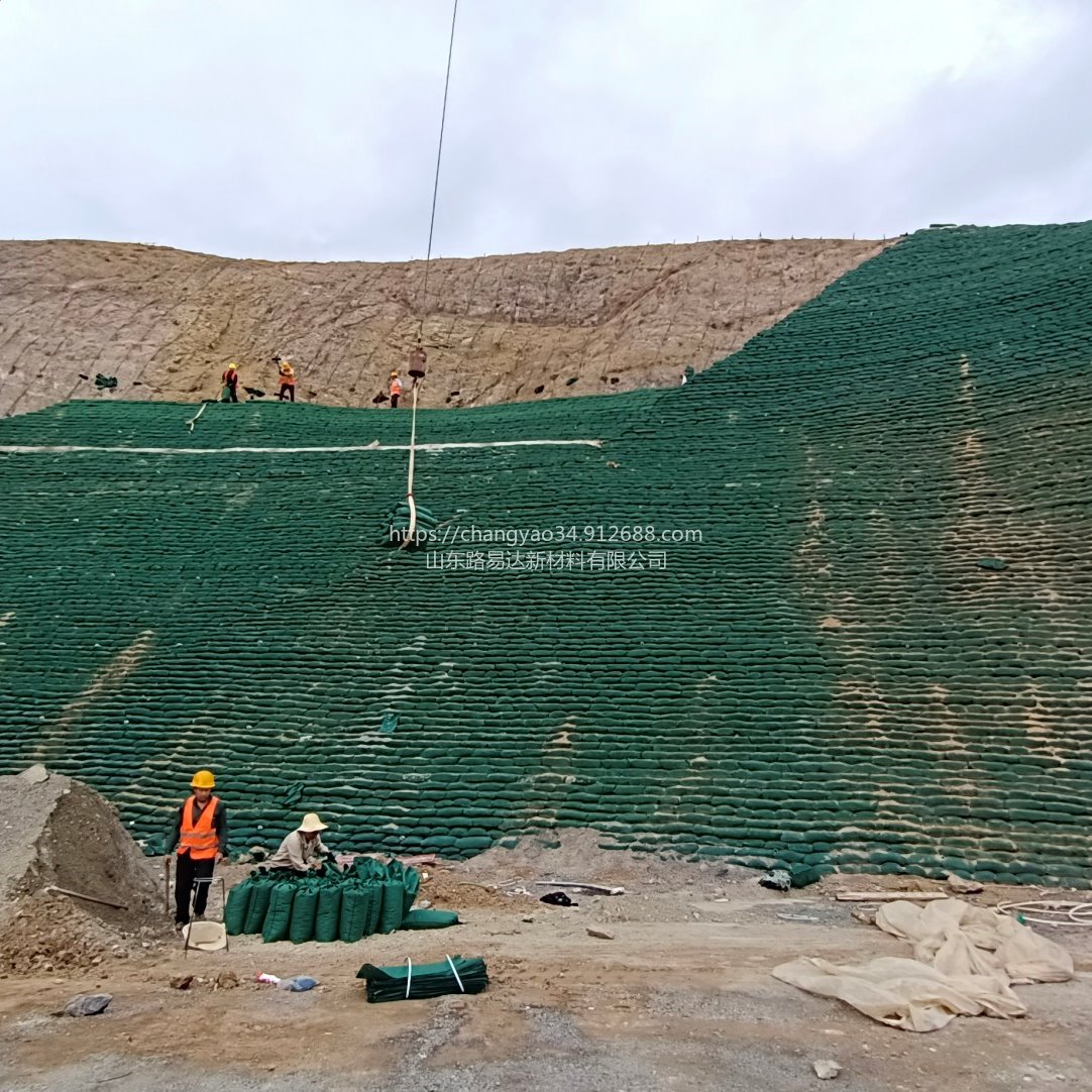 张家口-生态袋矿山修复  山体护坡生态袋  聚丙烯生态袋  路易达厂家生产，质量有保证