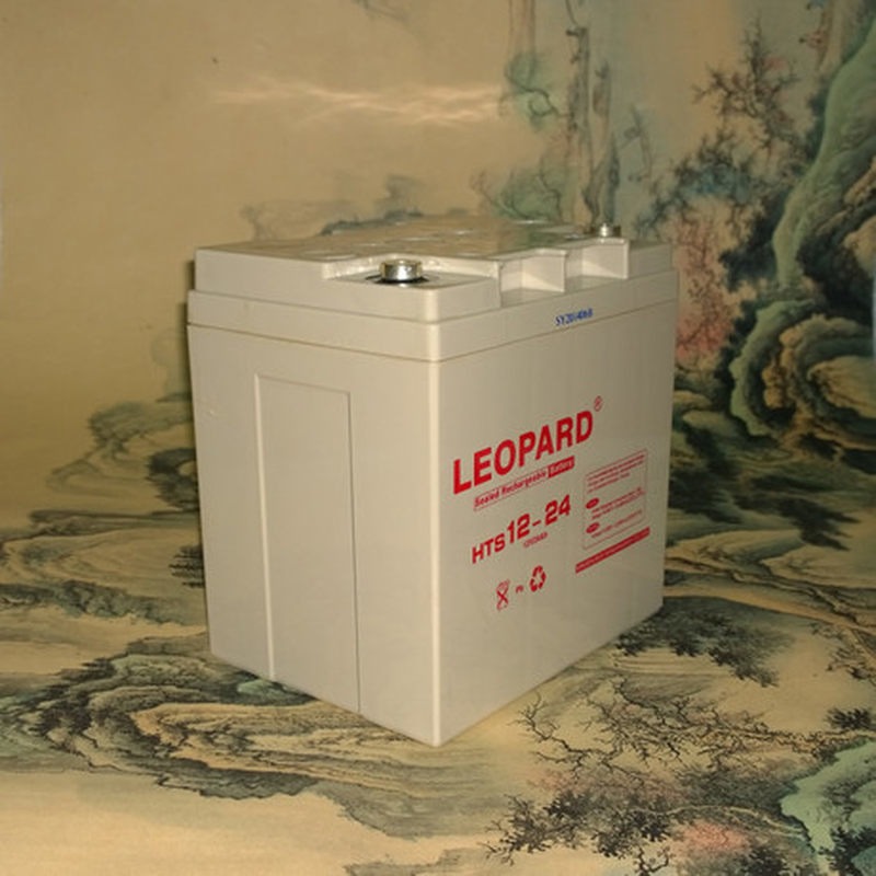 LEOPARD美洲豹HTS12-24蓄电池12V24AH直流屏消防报警主机EPS电源