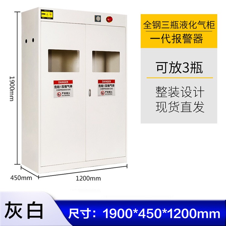 河南郑州万致WZLAB全钢单瓶气瓶柜，单瓶带报警器液化气柜，工业气瓶柜