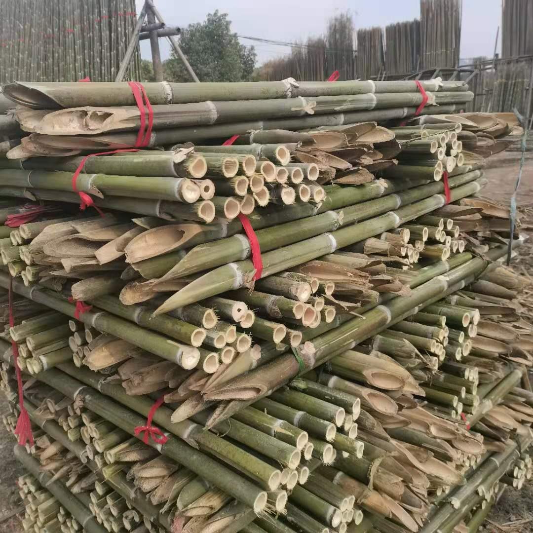竹韵竹制品厂家源产地批发4米果树支撑竹竿直度好任性强 定制