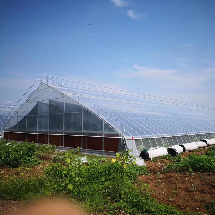 温室大棚 博利农业建造  冬季保温大棚  培育西红柿大棚 质量保证 售后服务